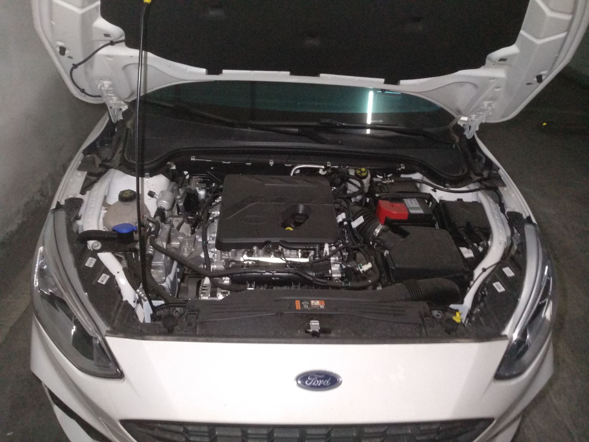 福特 福克斯 2020款 三厢 ecoboost 180 自动锋潮型