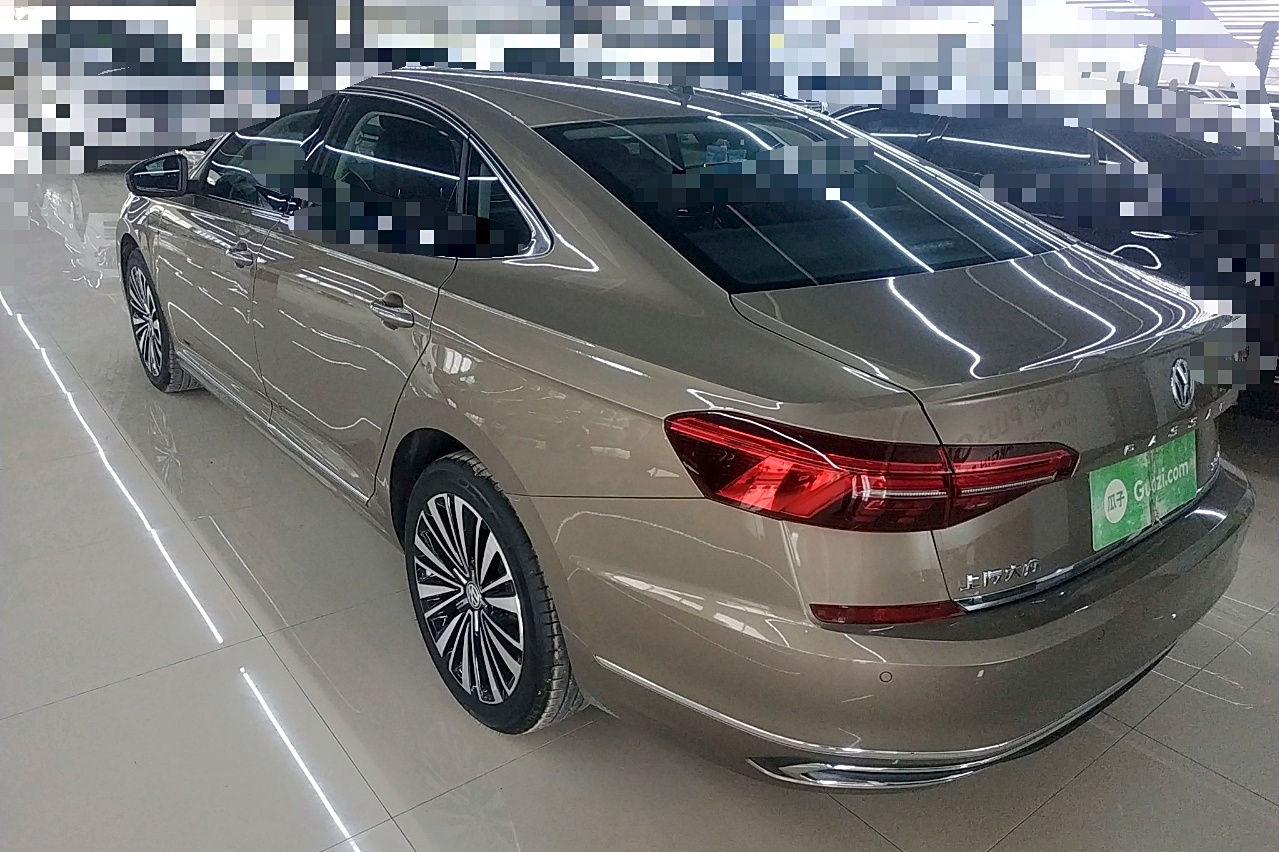 大众 帕萨特 2019款 380tsi 尊贵版 国vi 车辆图片