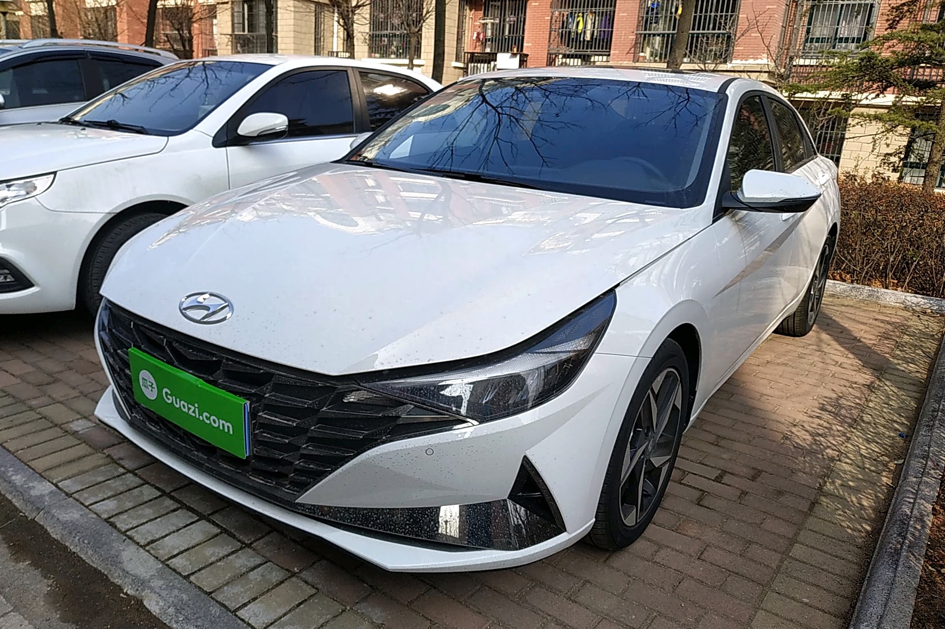 现代 伊兰特 2021款 1.5l lux尊贵版