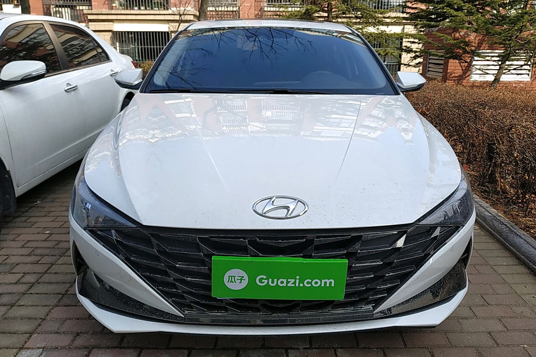 现代 伊兰特 2021款 1.5l lux尊贵版