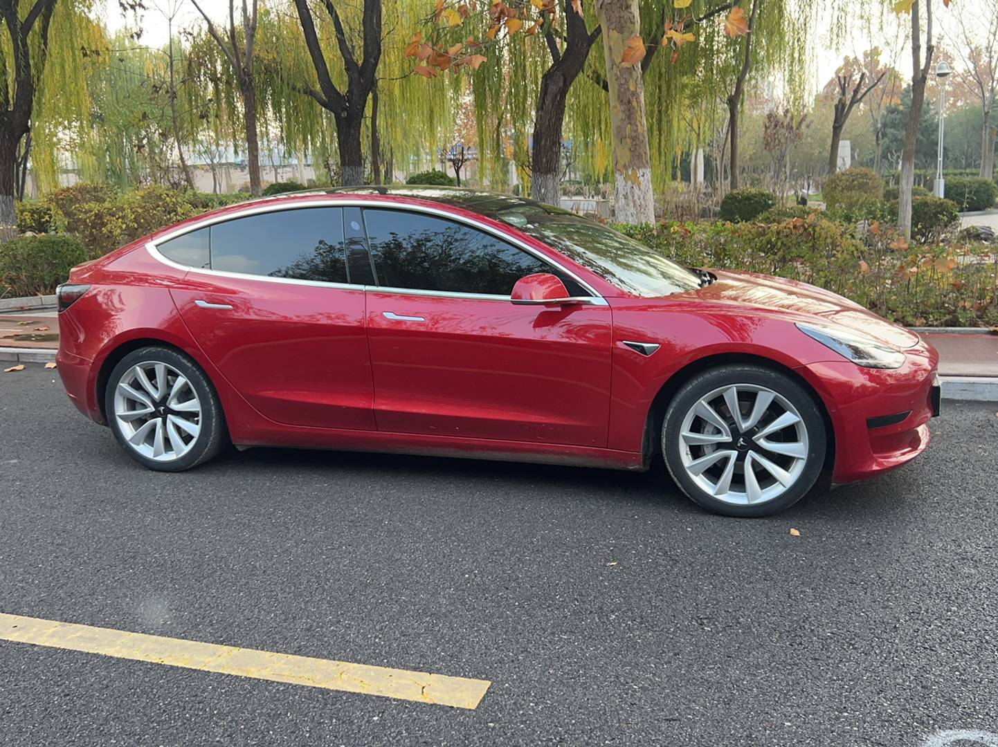 特斯拉 Model 3 2019款 标准续航后驱升级版车身外观6002