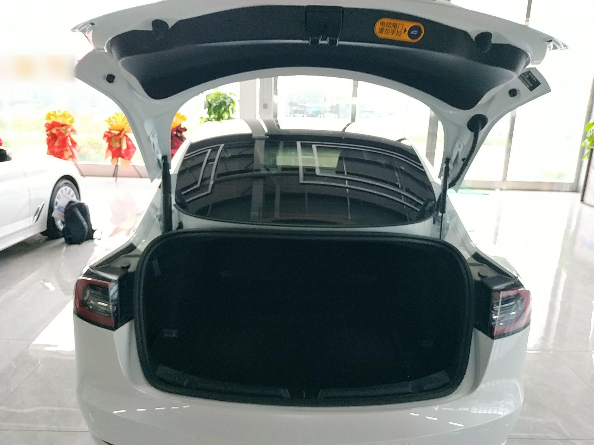 特斯拉 Model 3 2021款 标准续航后驱升级版 3D6