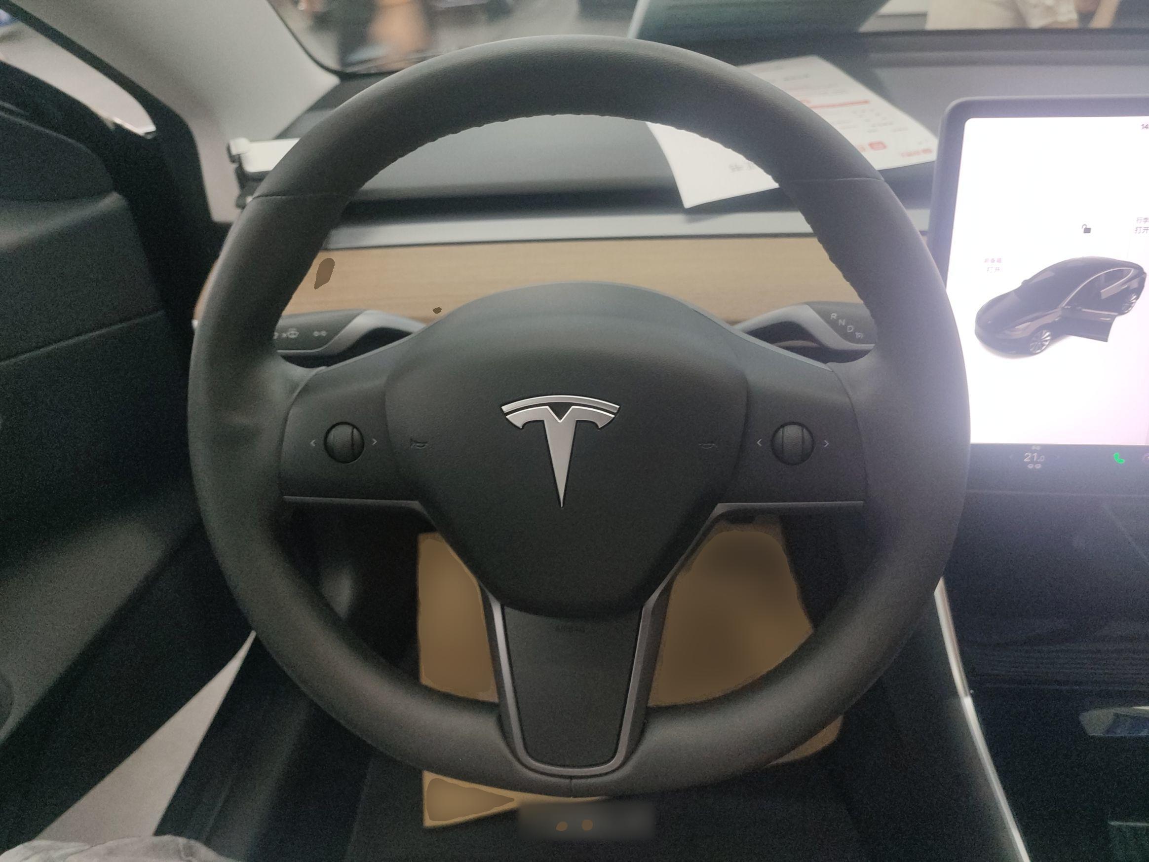 特斯拉 Model 3 2020款 标准续航后驱升级版