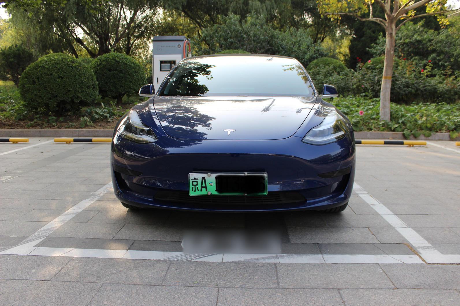 特斯拉 Model 3 2019款 标准续航后驱升级版