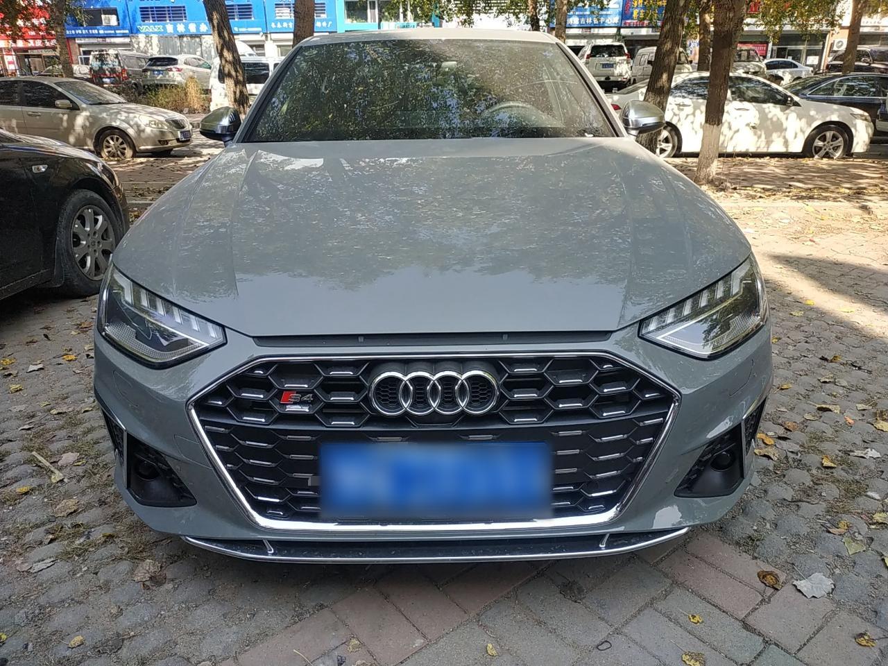 奥迪S4 2020款 S4 3.0TFSI(进口)