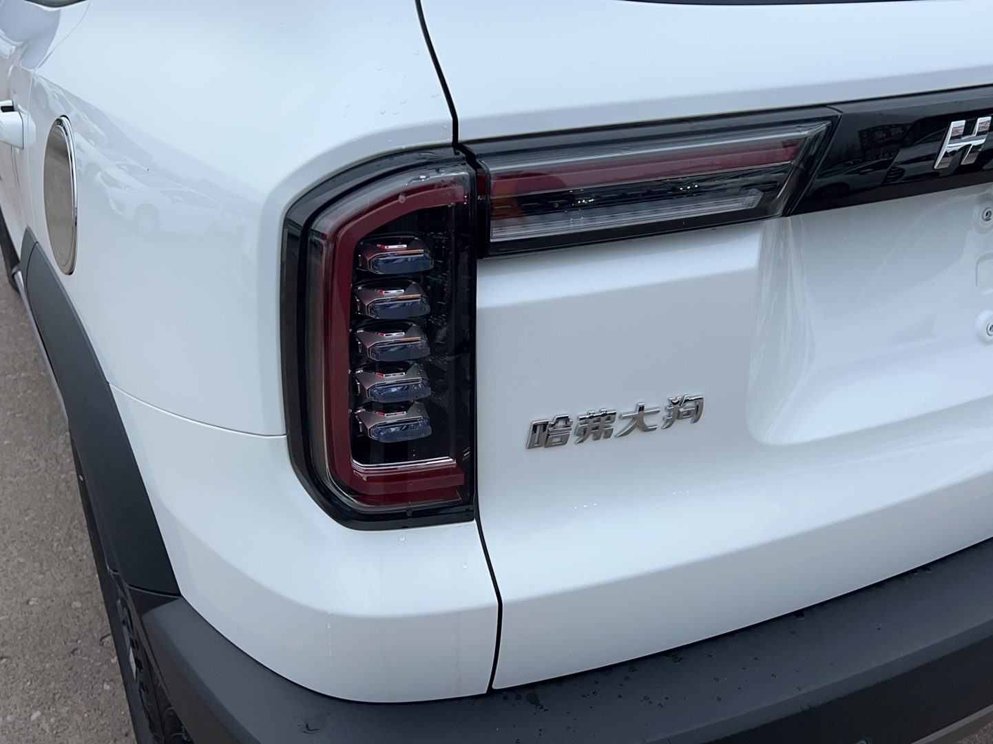 哈弗大狗 2021款 1.5T DCT拉布拉多版