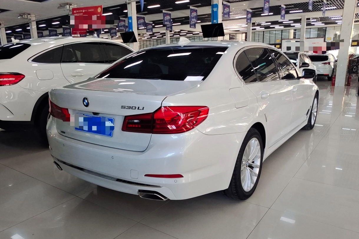 宝马5系 2019款 改款 530Li xDrive 豪华套装