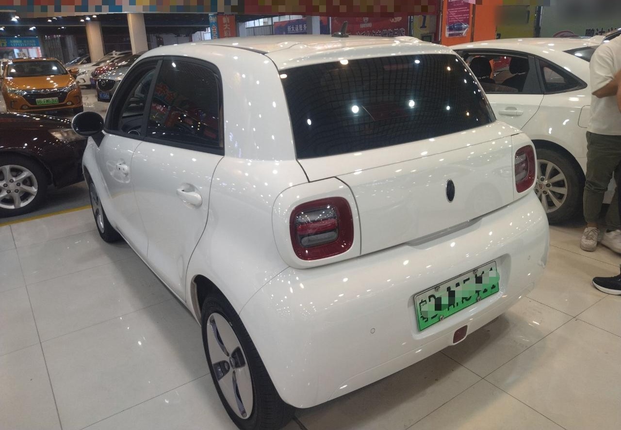 欧拉黑猫 2022款 301km 萌宠版