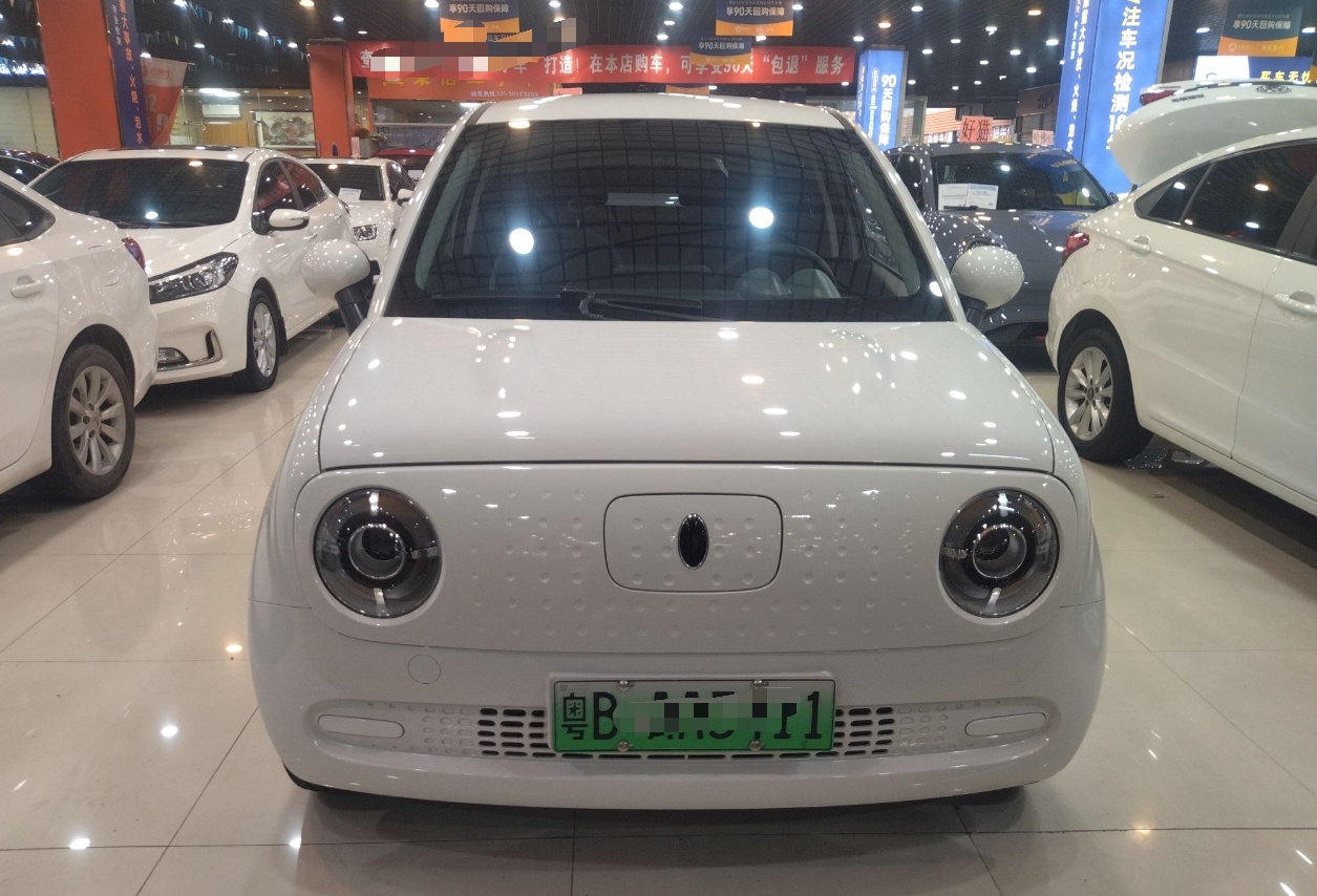 欧拉黑猫 2022款 301km 萌宠版