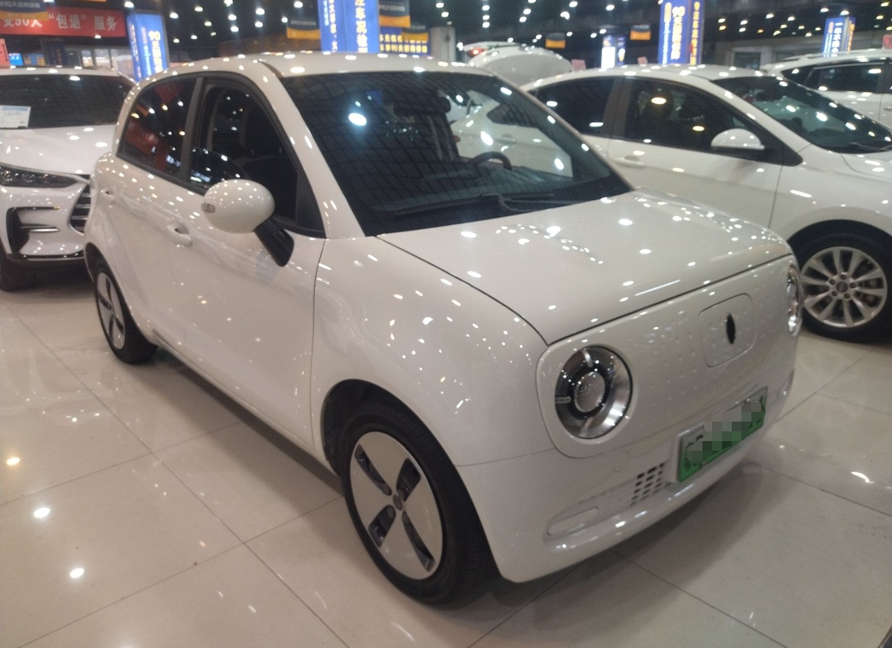 欧拉黑猫 2022款 301km 萌宠版