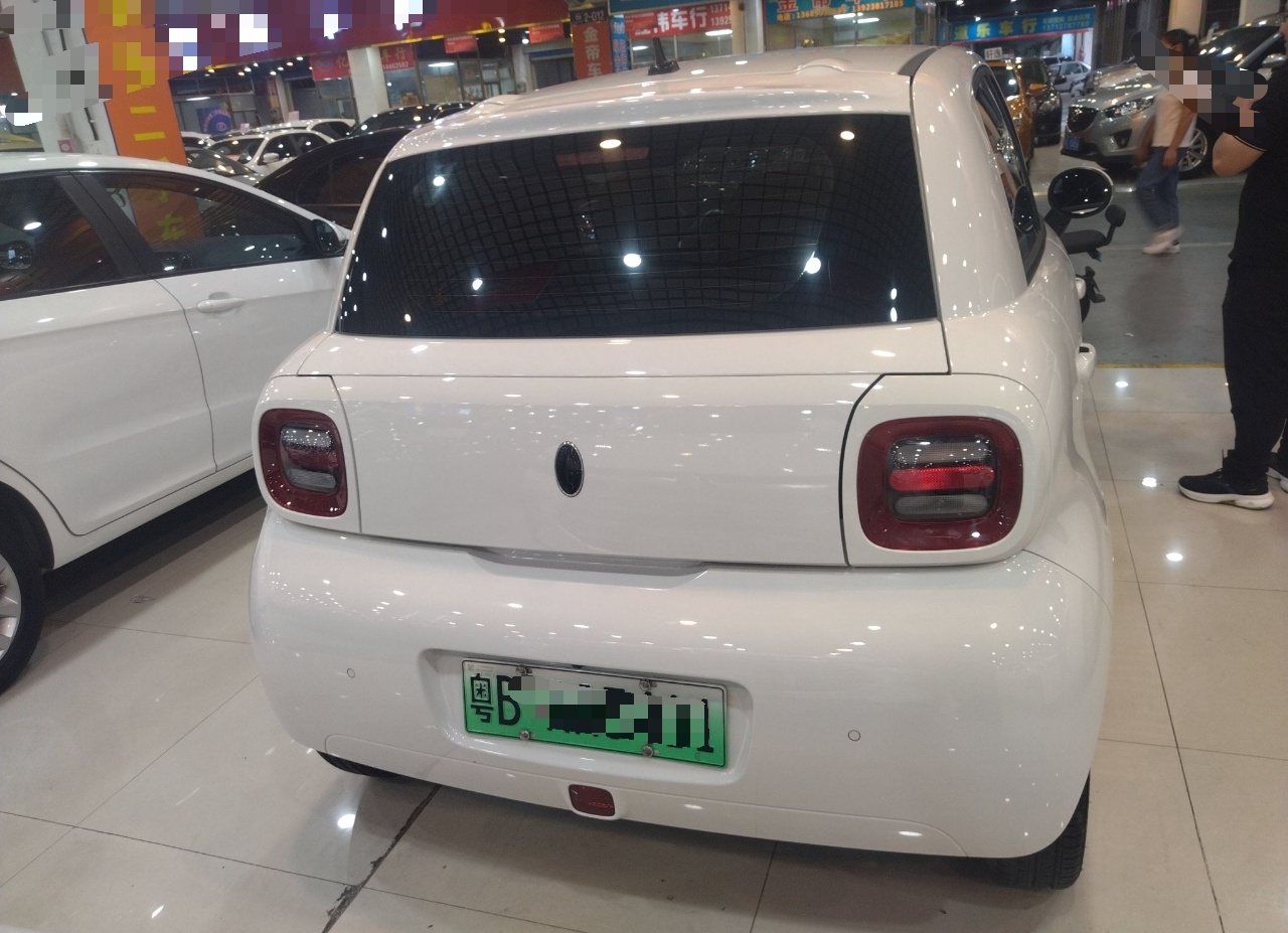 欧拉黑猫 2022款 301km 萌宠版