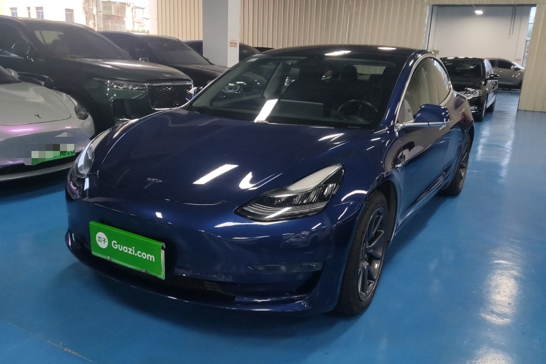 特斯拉 Model 3 2019款 长续航后驱版(进口)