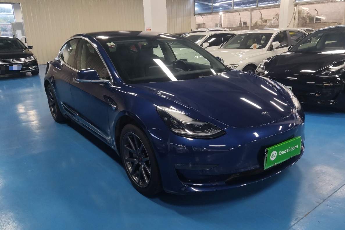 特斯拉 Model 3 2019款 长续航后驱版(进口)