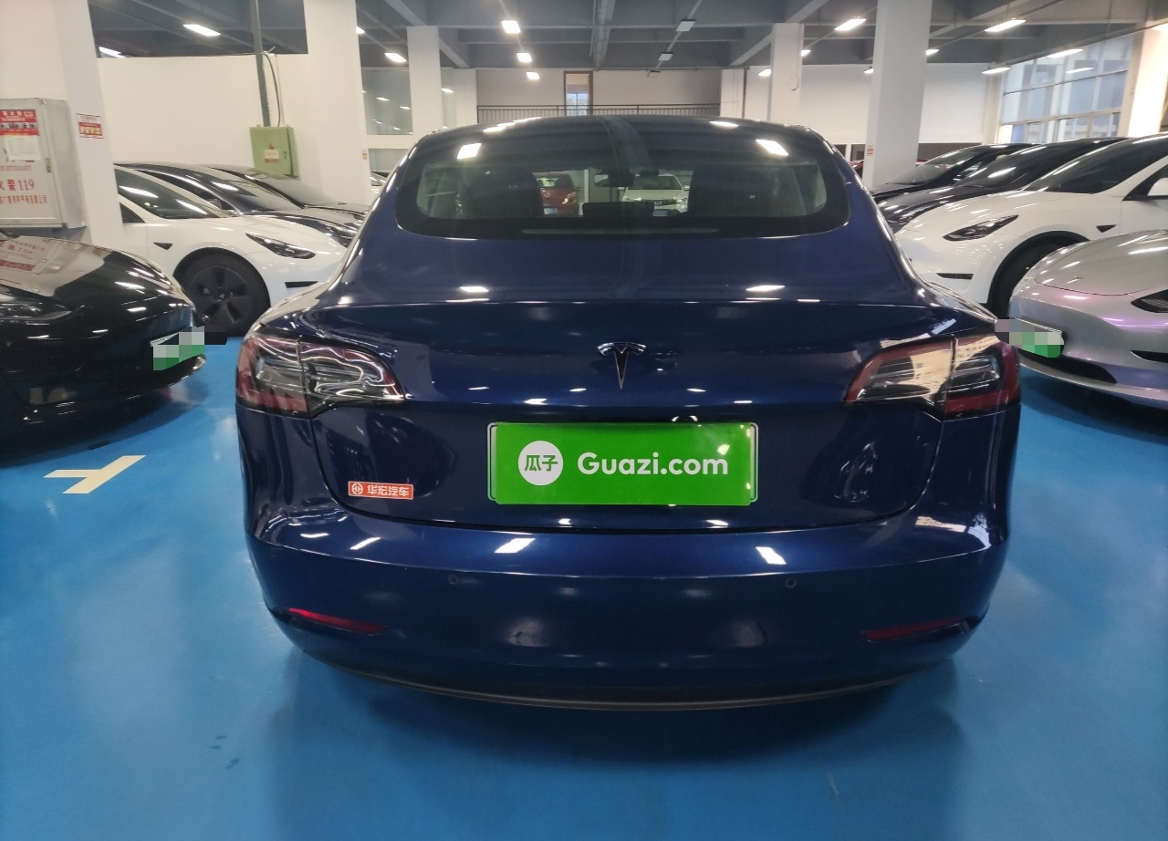 特斯拉 Model 3 2019款 长续航后驱版(进口)