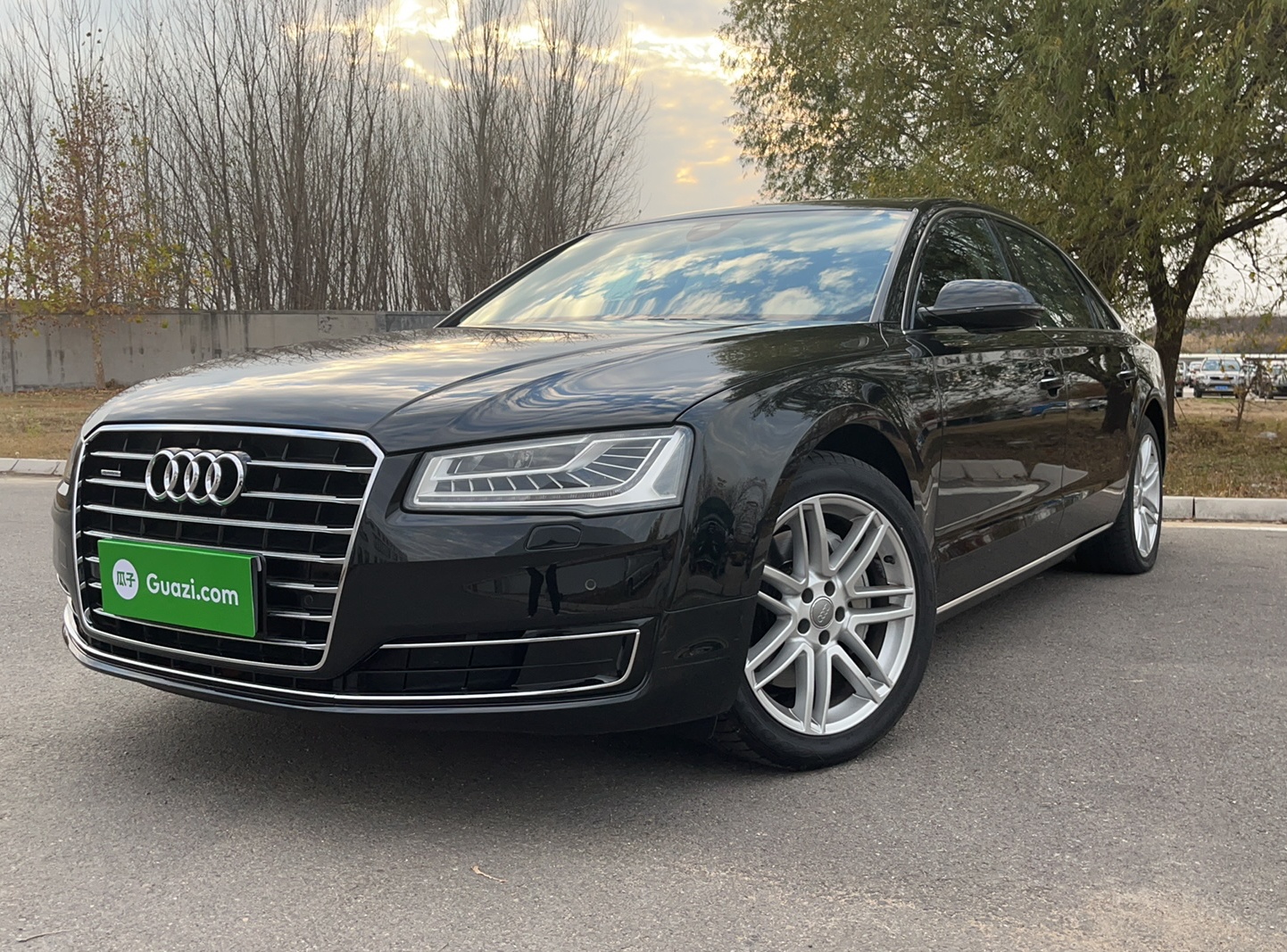 奥迪A8L 2016款 A8L 45 TFSI quattro舒适型(进口)