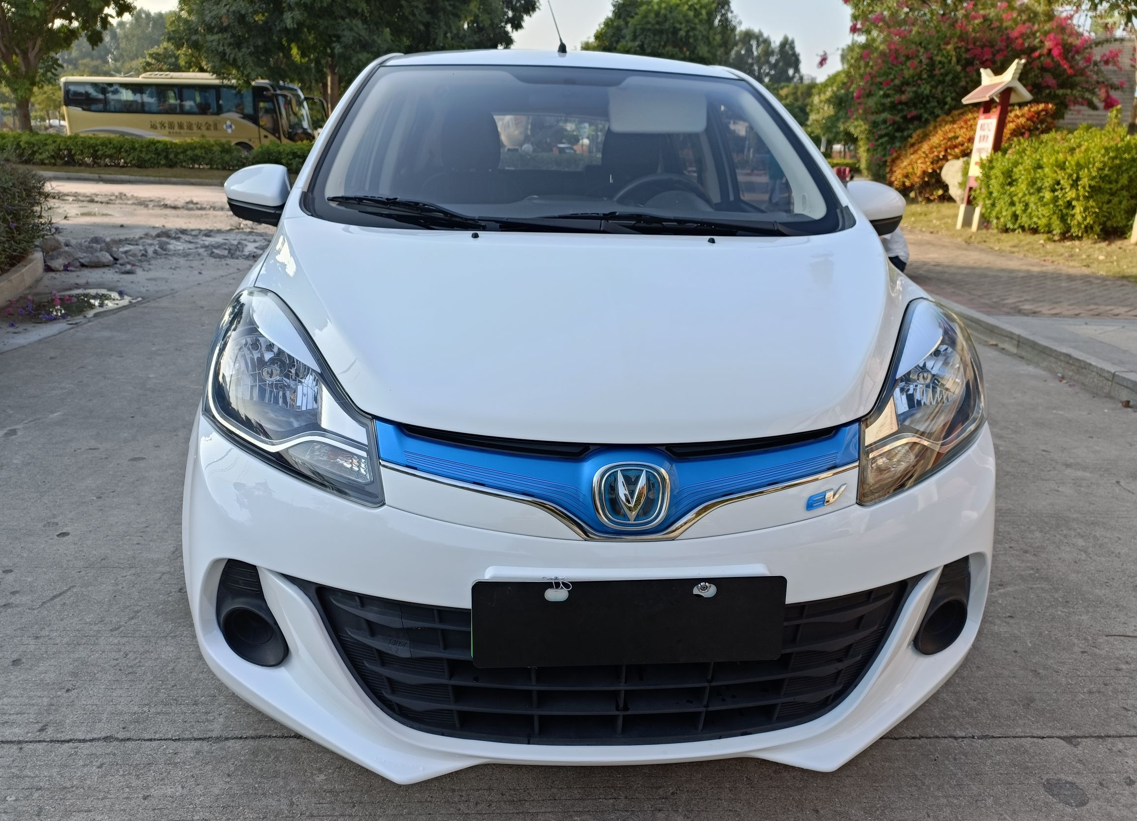 长安 奔奔EV 2019款 EV360 标准型