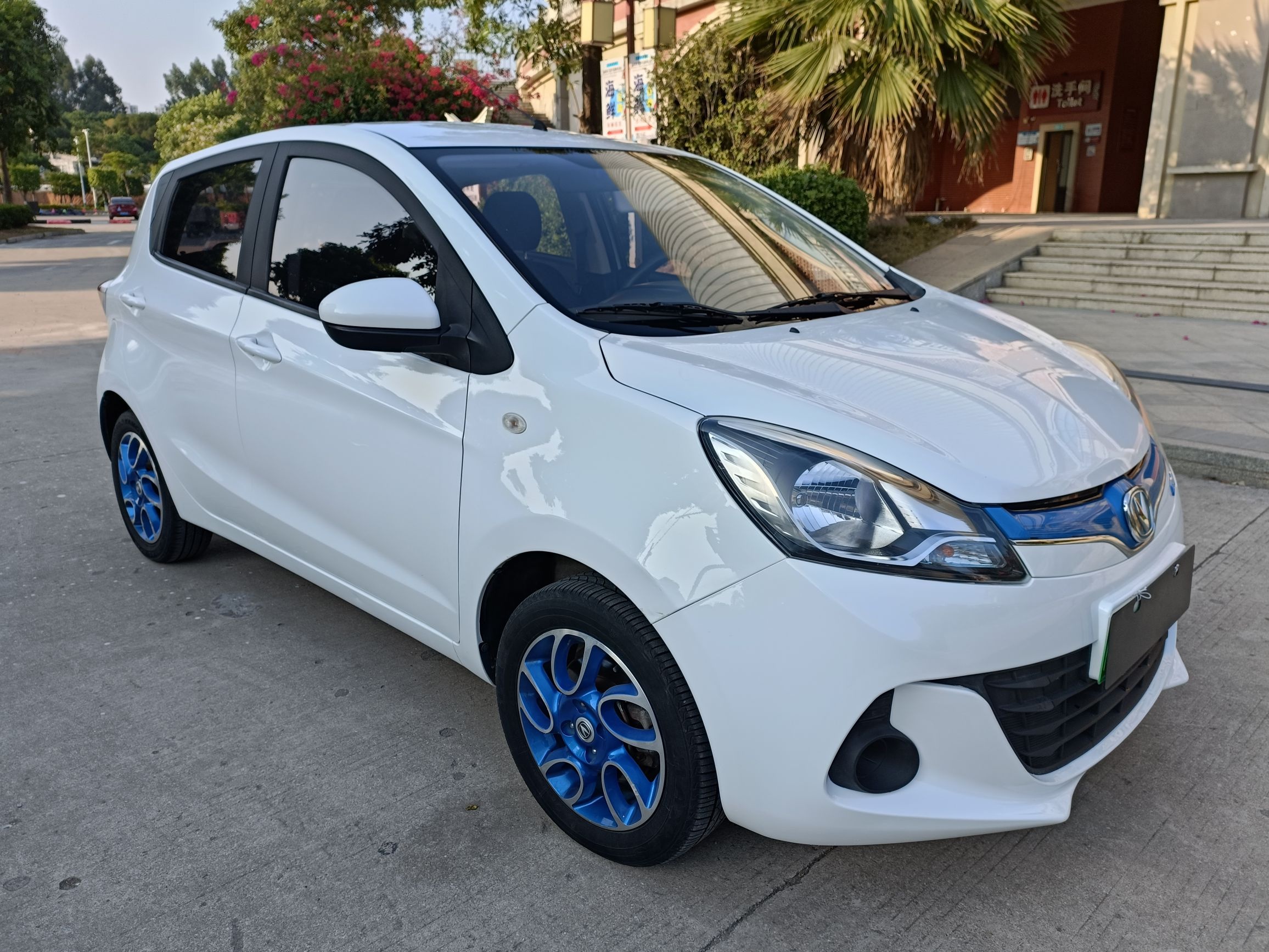 长安 奔奔EV 2019款 EV360 标准型