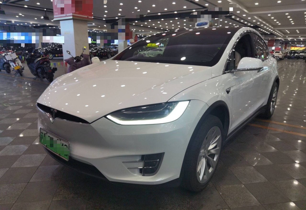 特斯拉Model X 2019款 长续航版(进口)