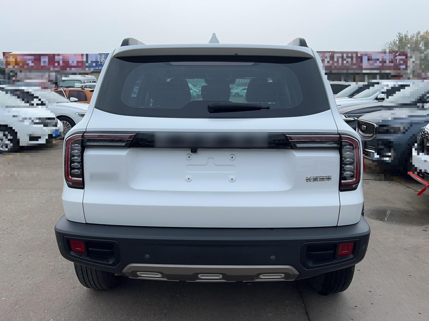 哈弗大狗 2021款 1.5T DCT拉布拉多版