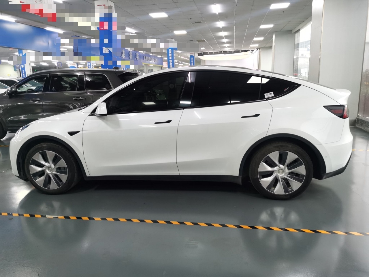 特斯拉 Model Y 2021款 标准续航后驱版