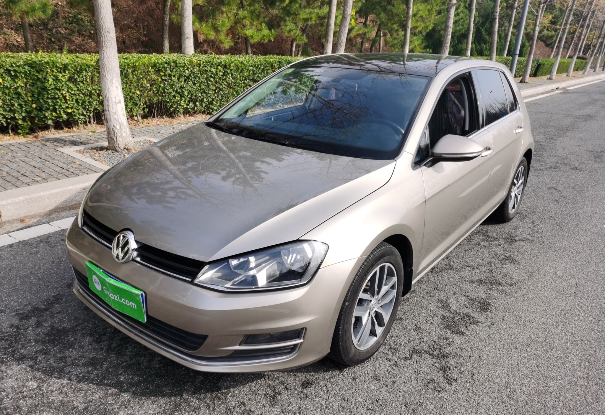 大众 高尔夫 2016款 230TSI 自动豪华型