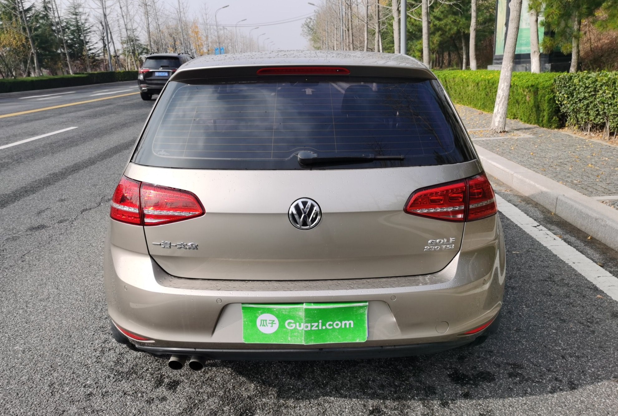 大众 高尔夫 2016款 230TSI 自动豪华型