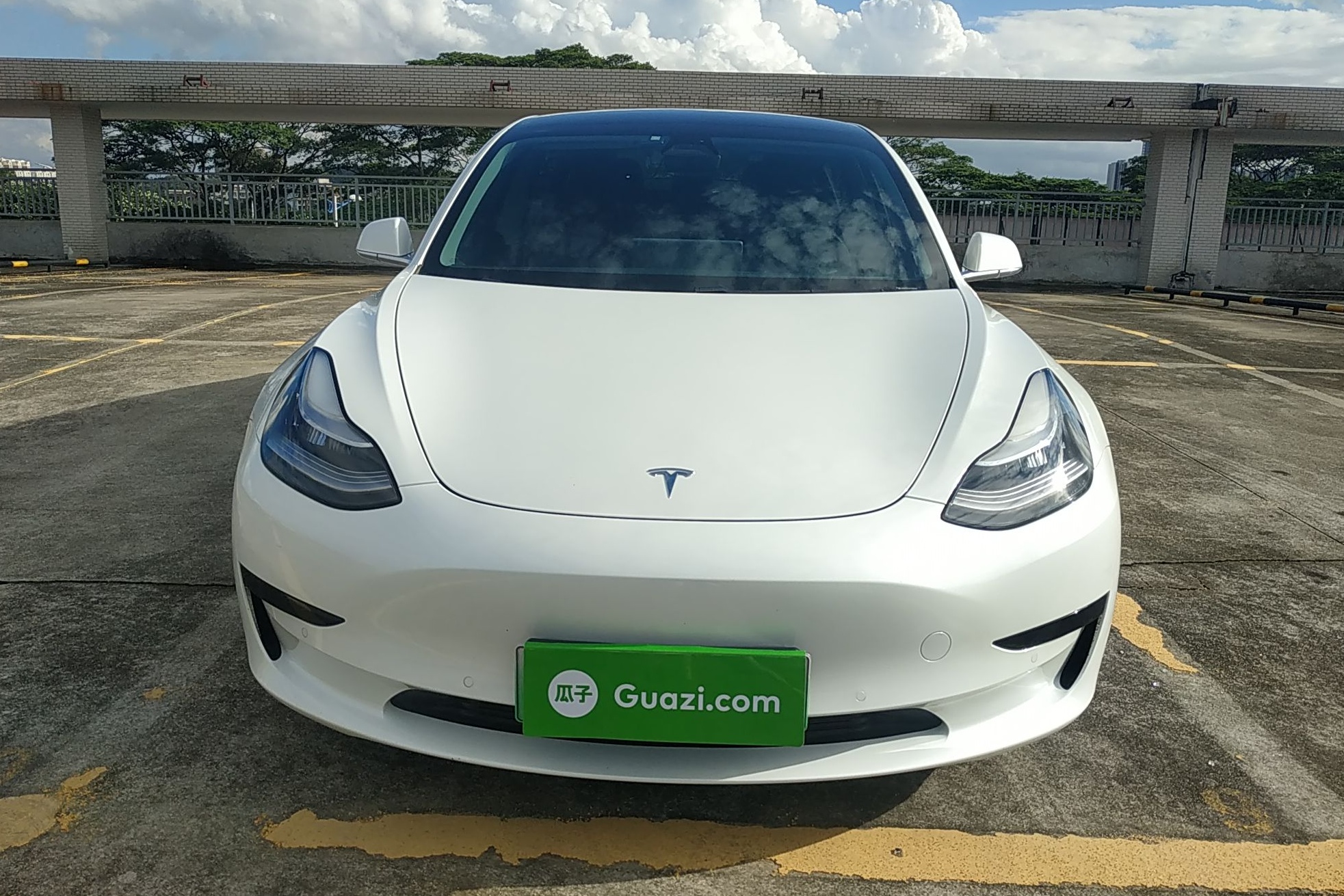 特斯拉 Model 3 2020款 标准续航后驱升级版