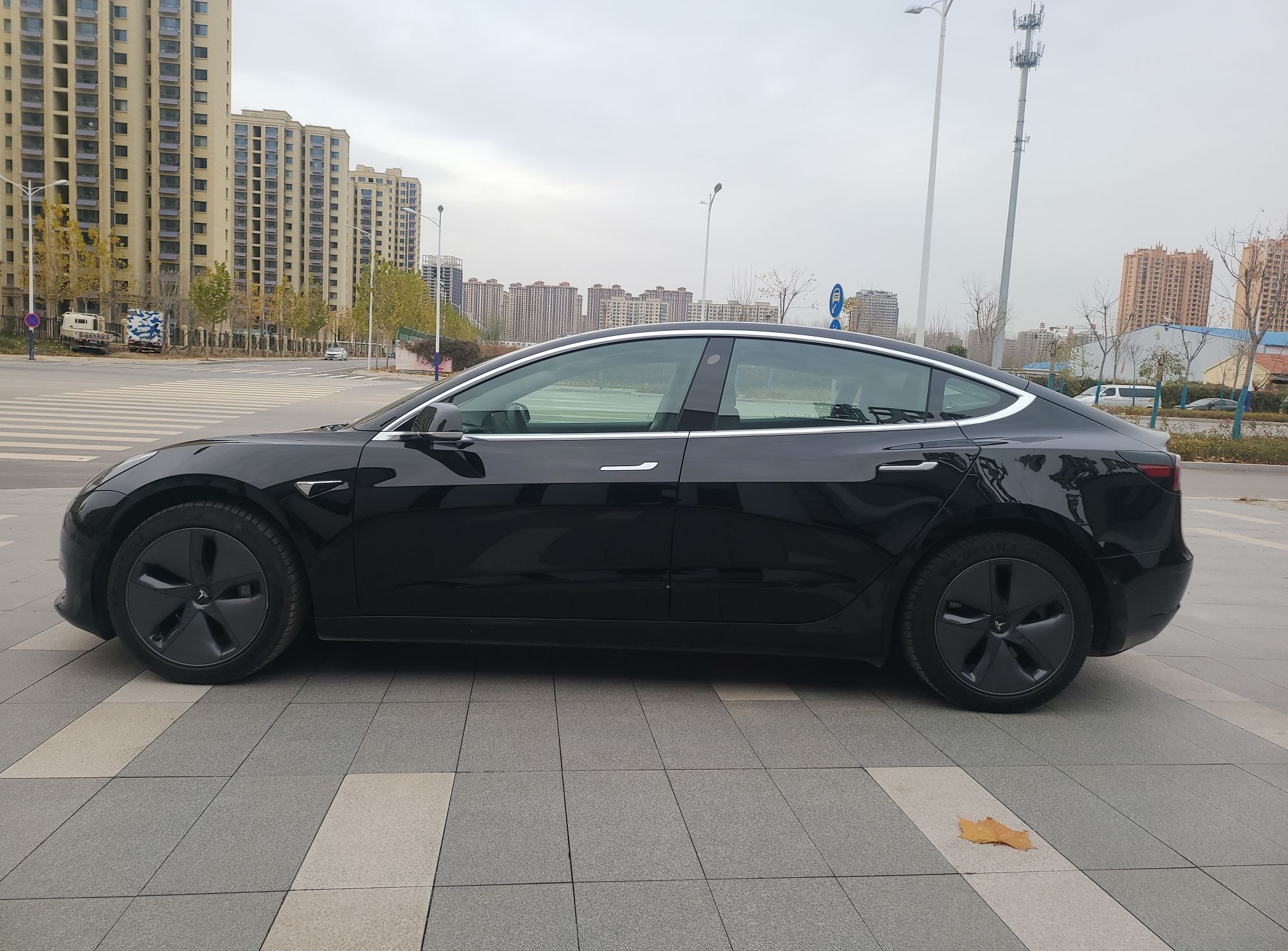 特斯拉 Model 3 2020款 改款 标准续航后驱升级版