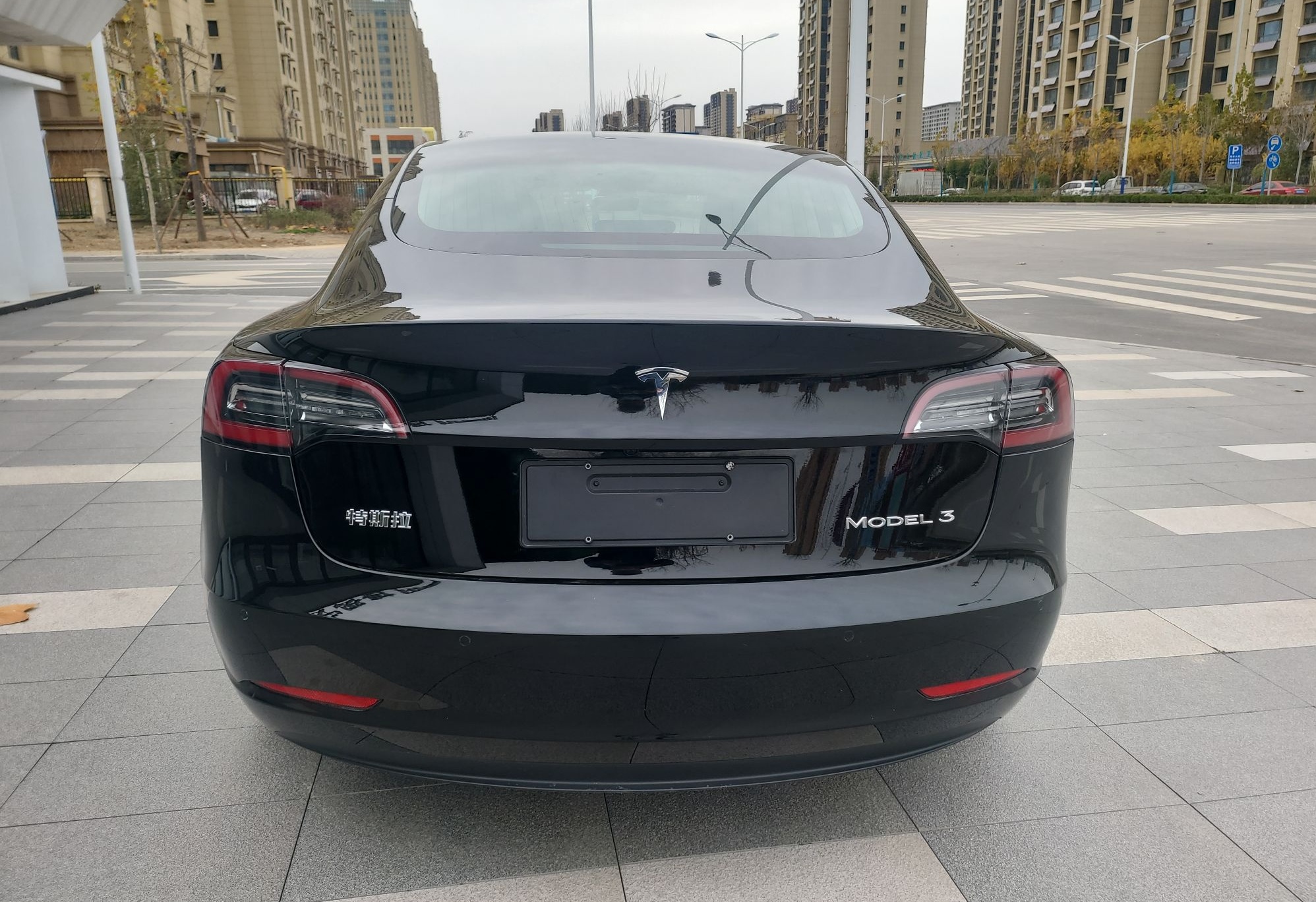 特斯拉 Model 3 2020款 改款 标准续航后驱升级版