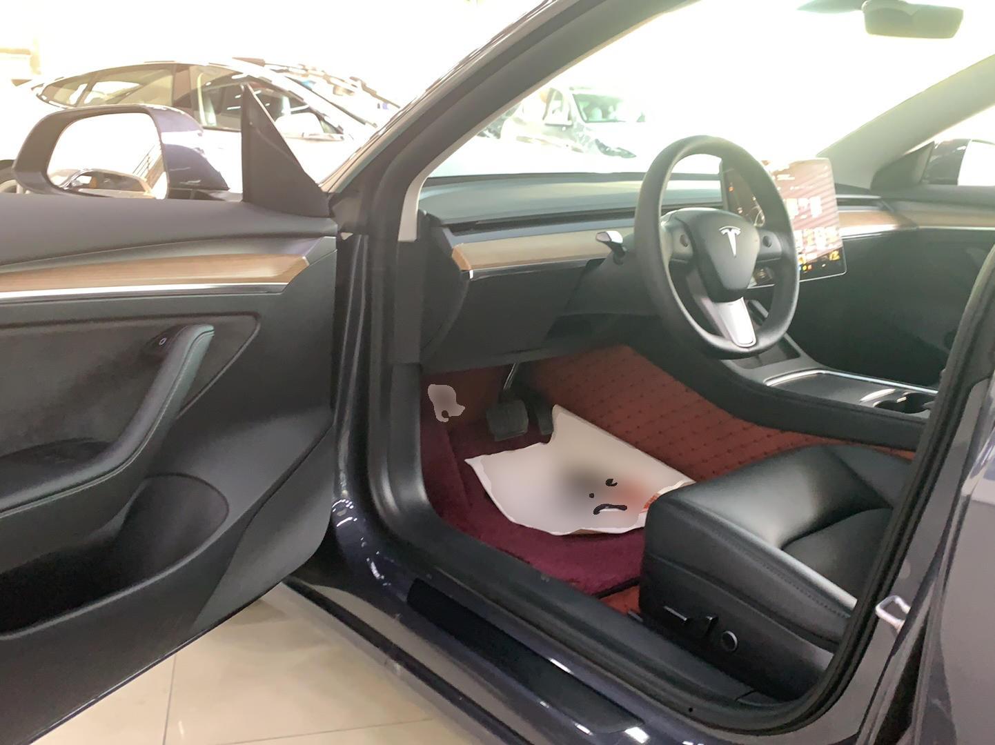 特斯拉 Model 3 2022款 后轮驱动版