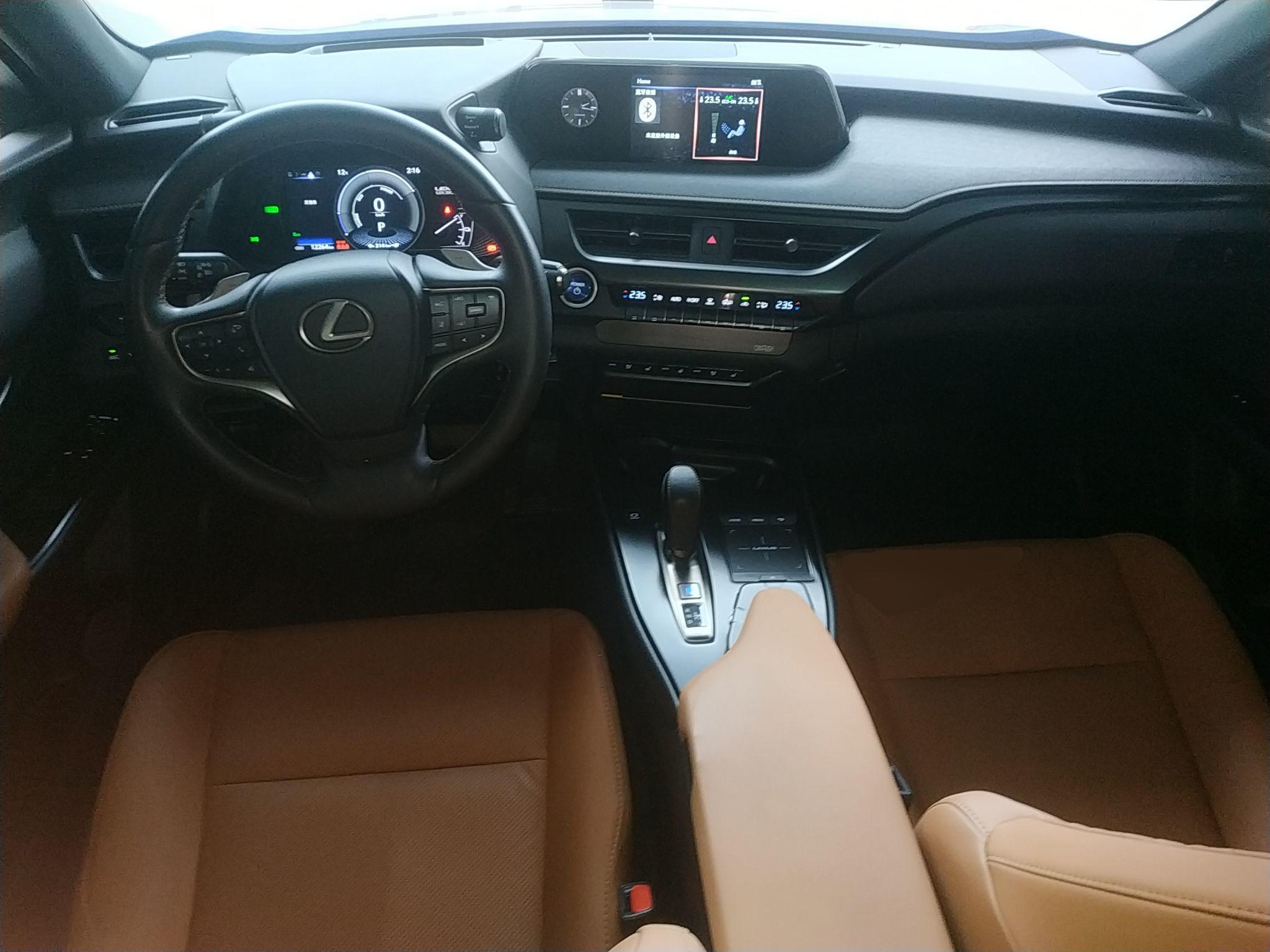 雷克萨斯UX新能源 2020款 300e 纯·享版