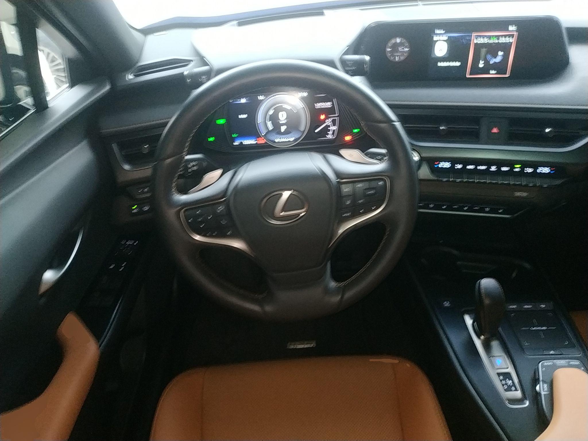 雷克萨斯UX新能源 2020款 300e 纯·享版