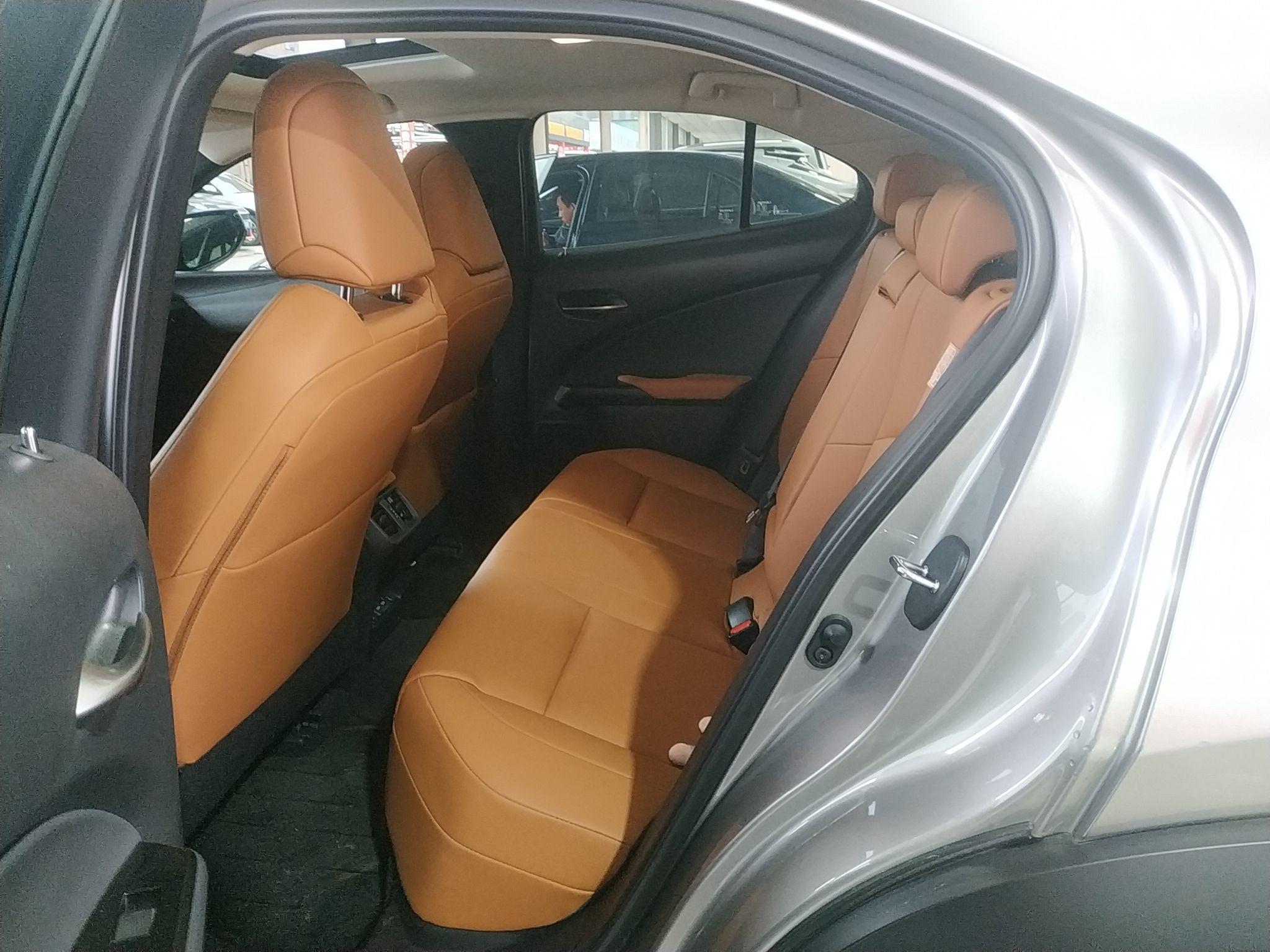 雷克萨斯UX新能源 2020款 300e 纯·享版