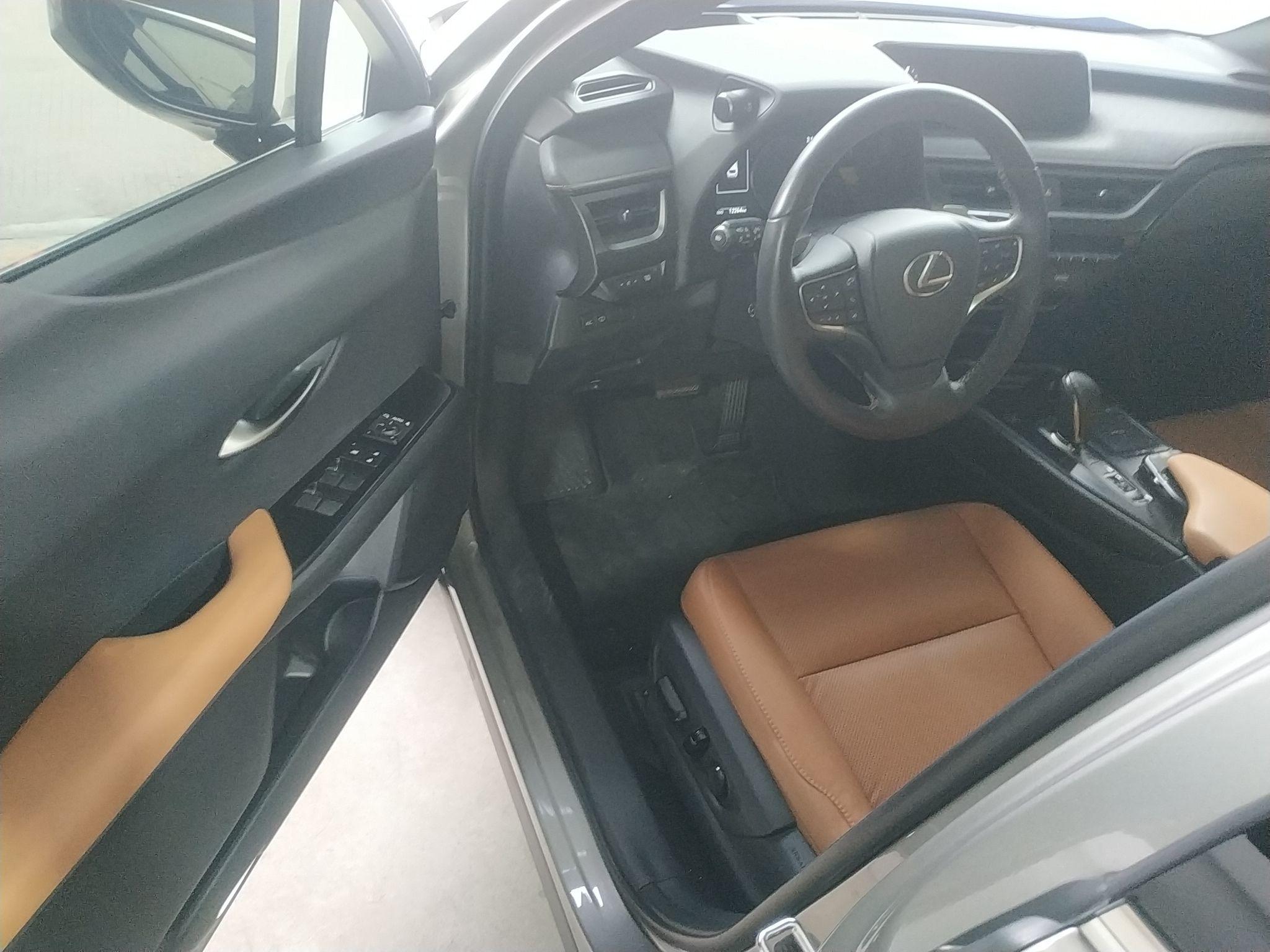 雷克萨斯UX新能源 2020款 300e 纯·享版