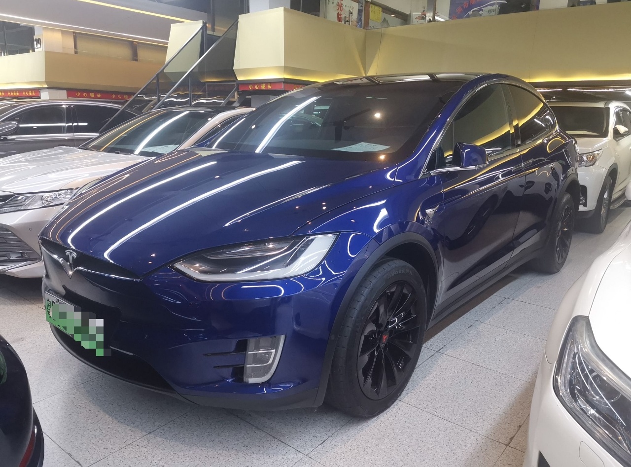 特斯拉Model X 2017款 Model X 100D 长续航版