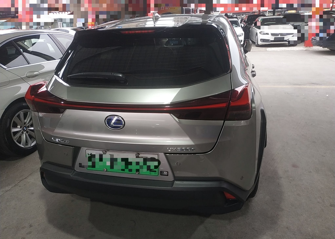 雷克萨斯UX新能源 2020款 300e 纯·享版