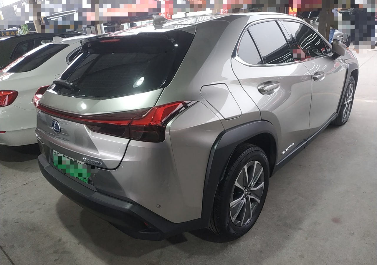 雷克萨斯UX新能源 2020款 300e 纯·享版