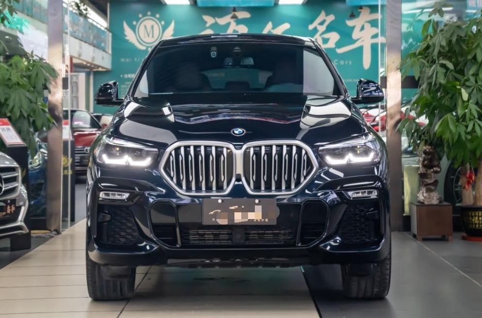 宝马X6 2020款 xDrive30i M运动套装(进口)