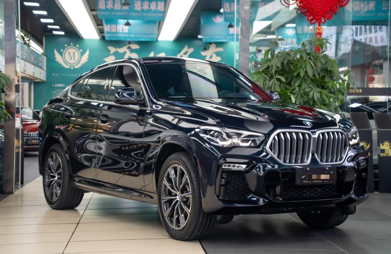 宝马X6 2020款 xDrive30i M运动套装(进口)