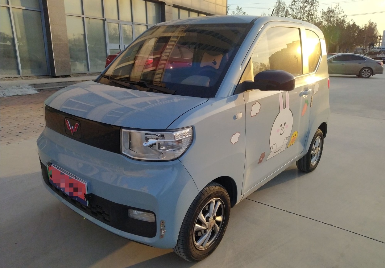 五菱汽车 宏光MINI EV 2020款 自在款 磷酸铁锂