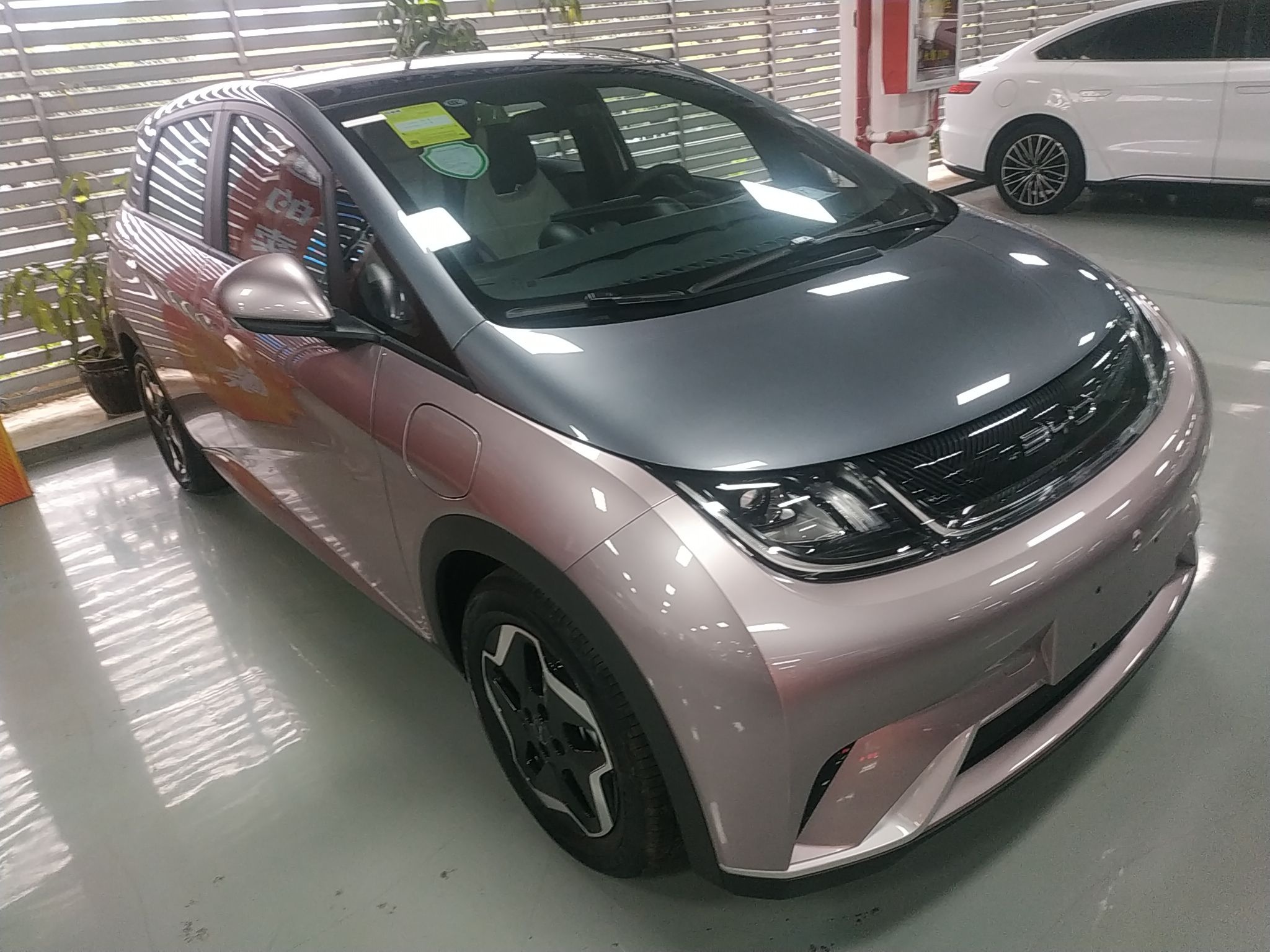 比亚迪 海豚 2021款 405km 时尚版