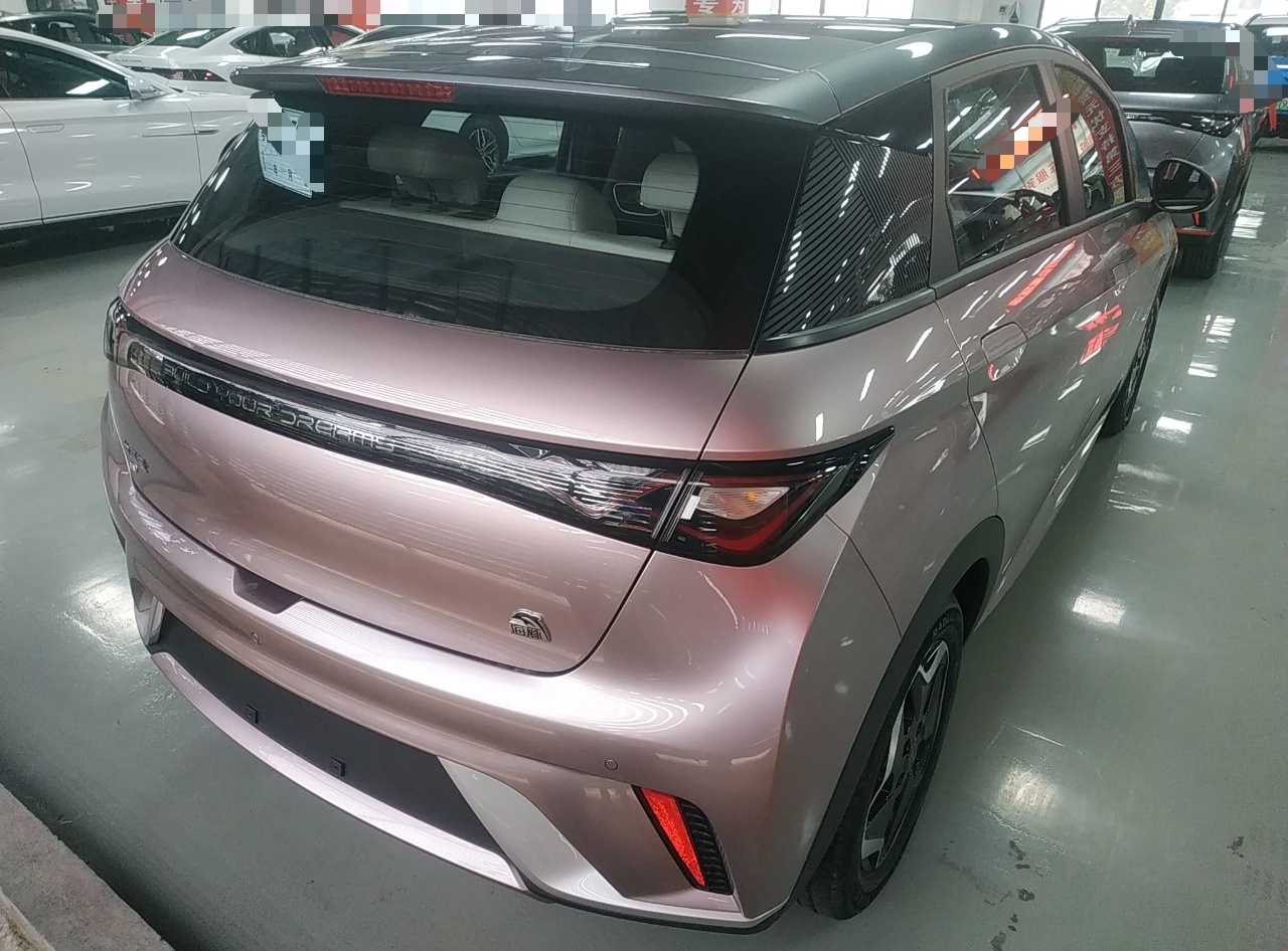 比亚迪 海豚 2021款 405km 时尚版