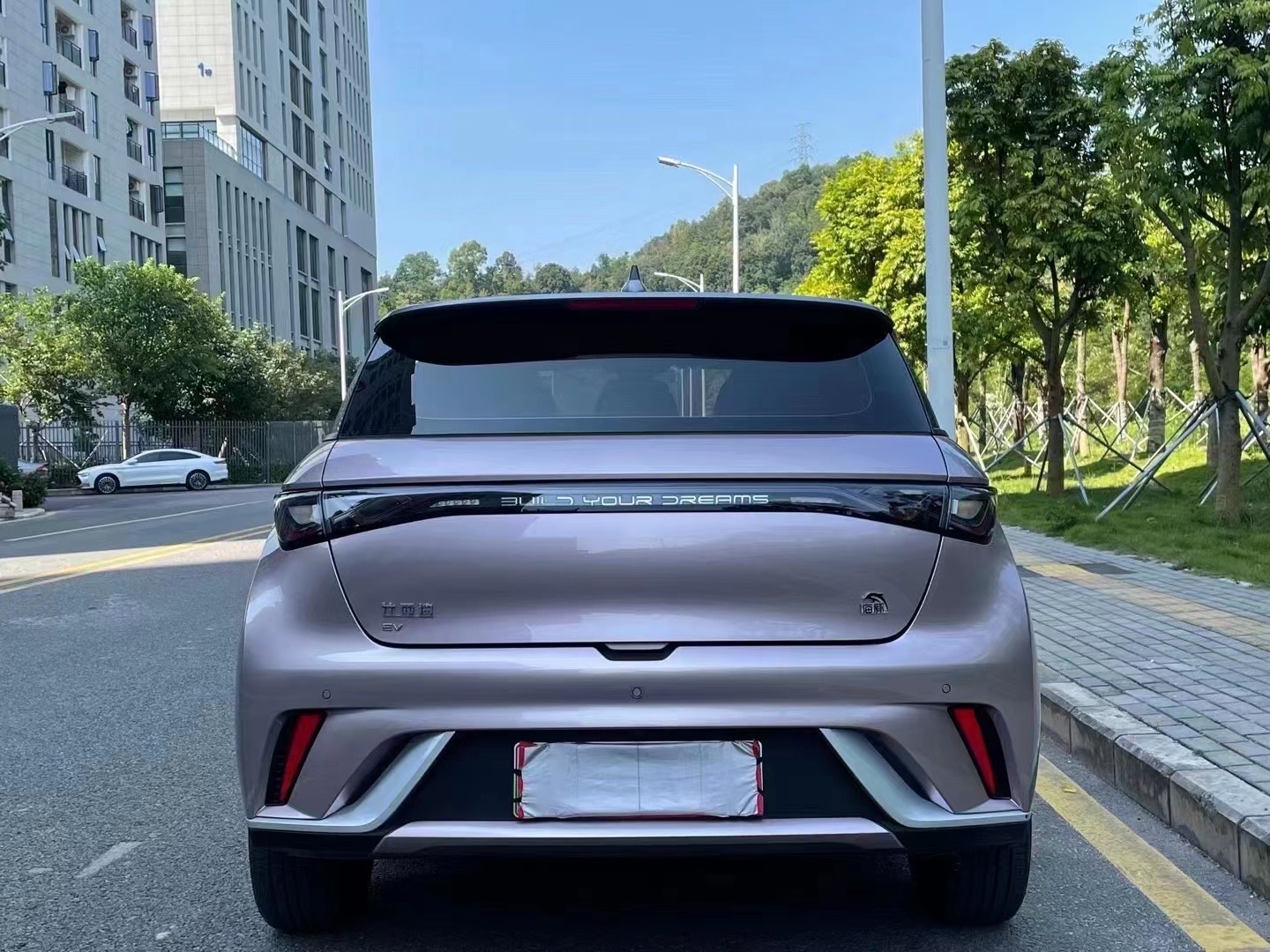 比亚迪 海豚 2021款 405km 时尚版