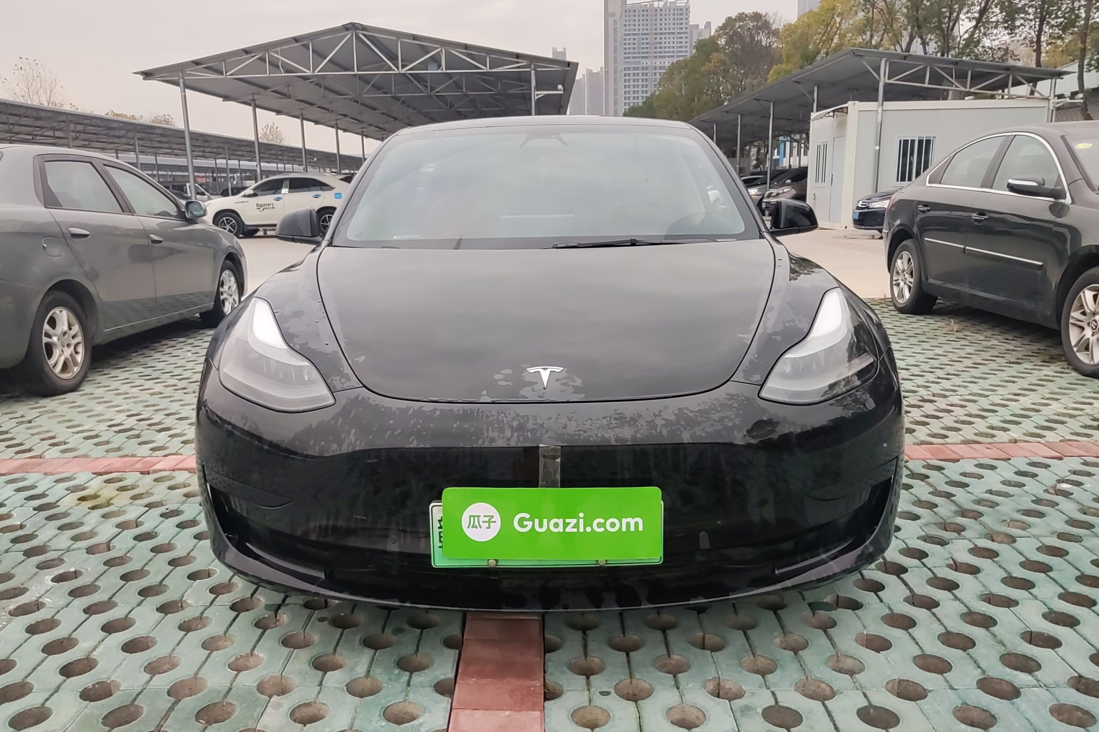 特斯拉 Model 3 2021款 改款 标准续航后驱升级版 3D1