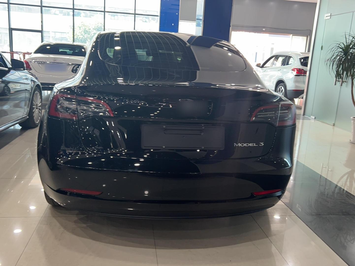 特斯拉 Model 3 2022款 后轮驱动版