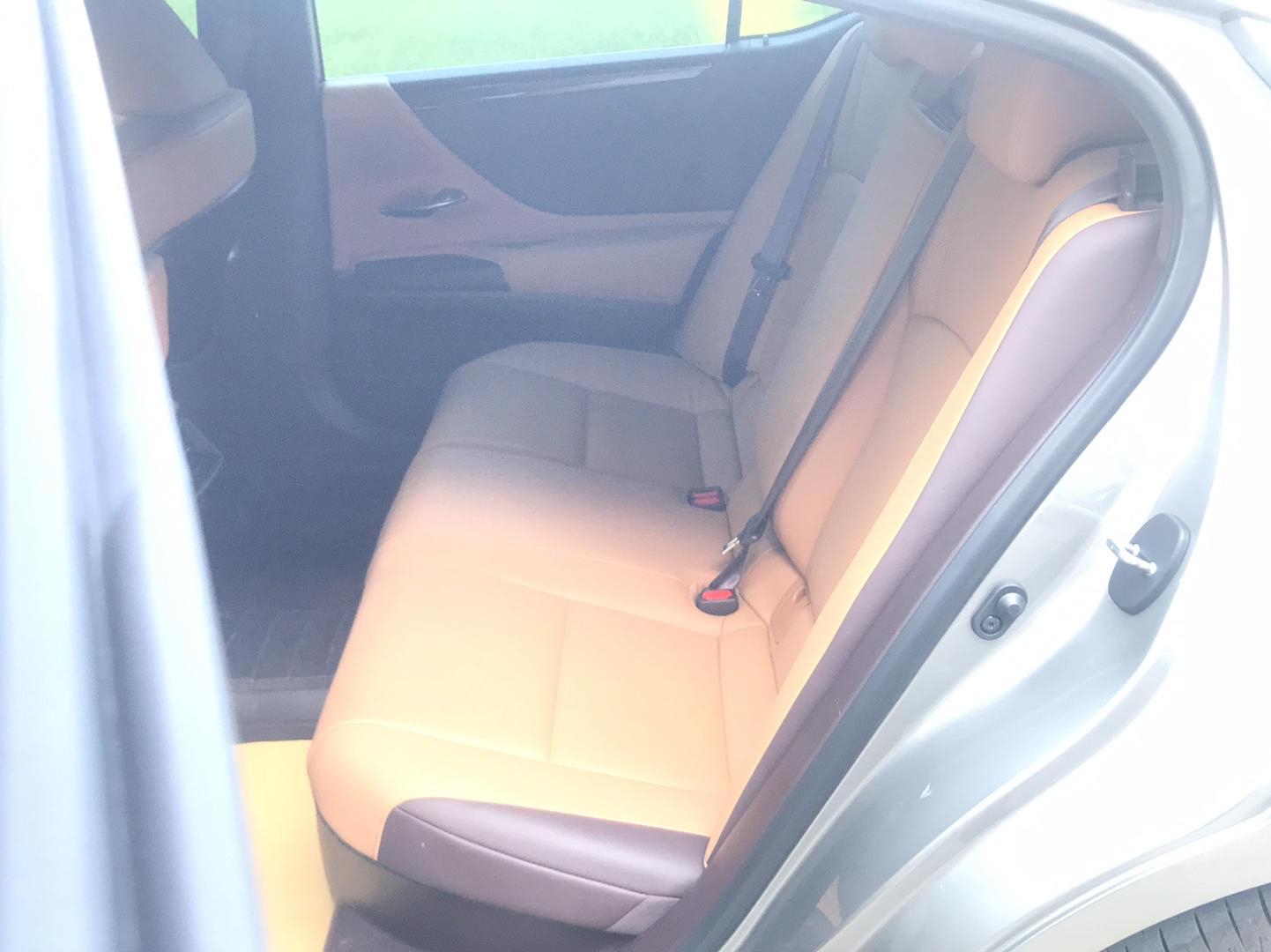 雷克萨斯ES 2020款 300h 臻享版