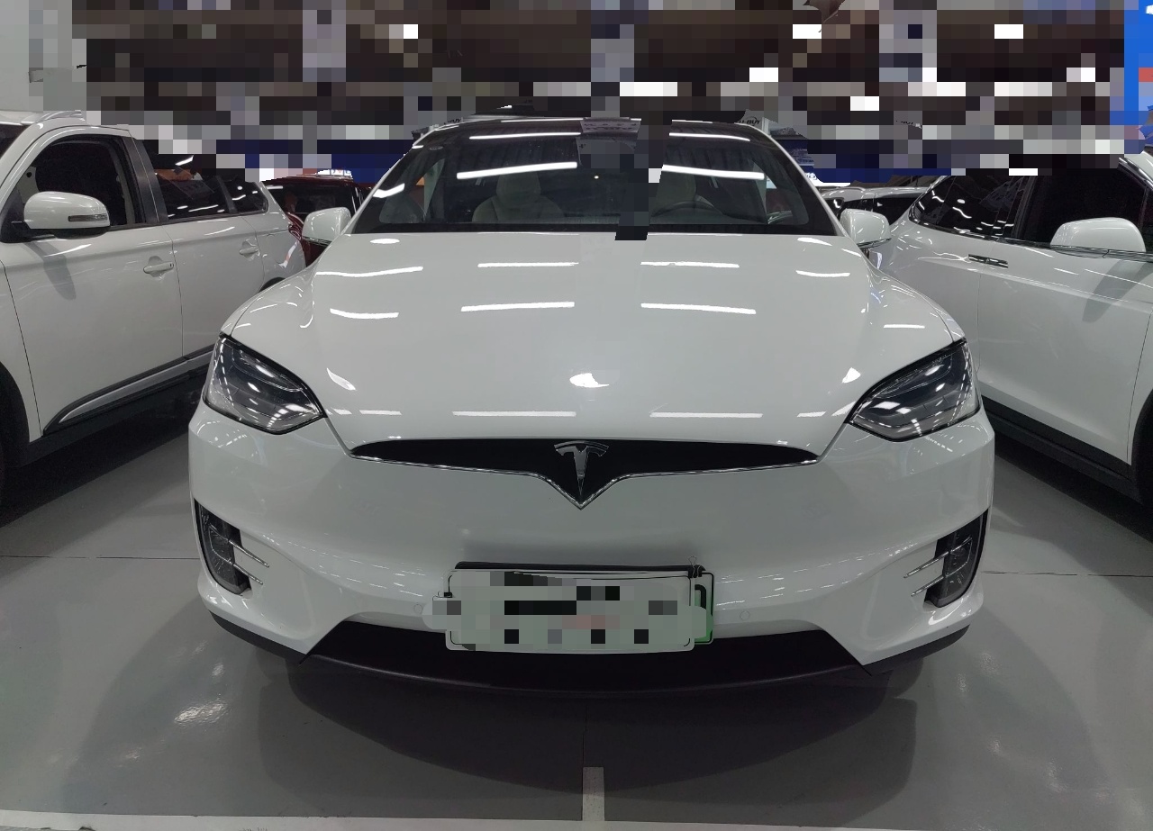 特斯拉Model X 2019款 长续航版(进口)