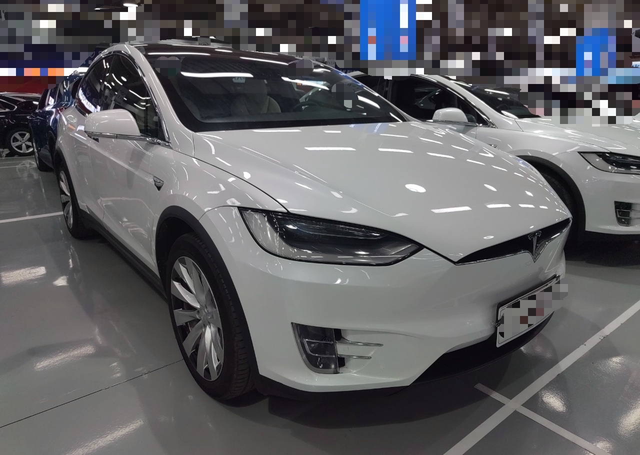 特斯拉Model X 2019款 长续航版(进口)