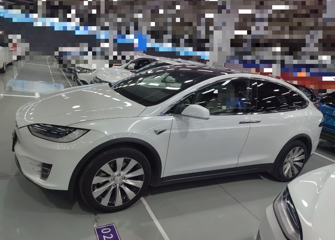 特斯拉Model X 2019款 长续航版(进口)