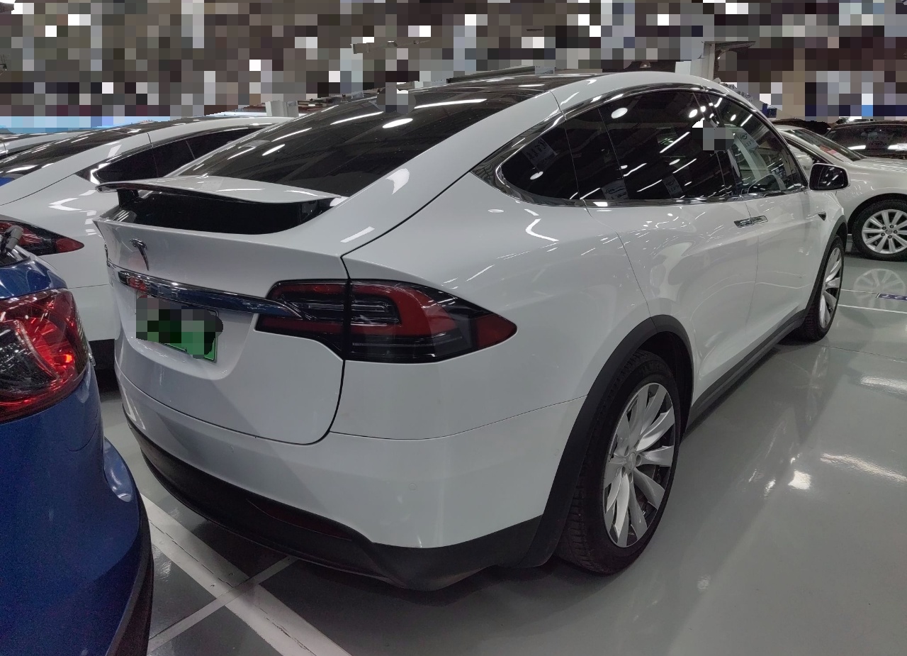 特斯拉Model X 2019款 长续航版(进口)